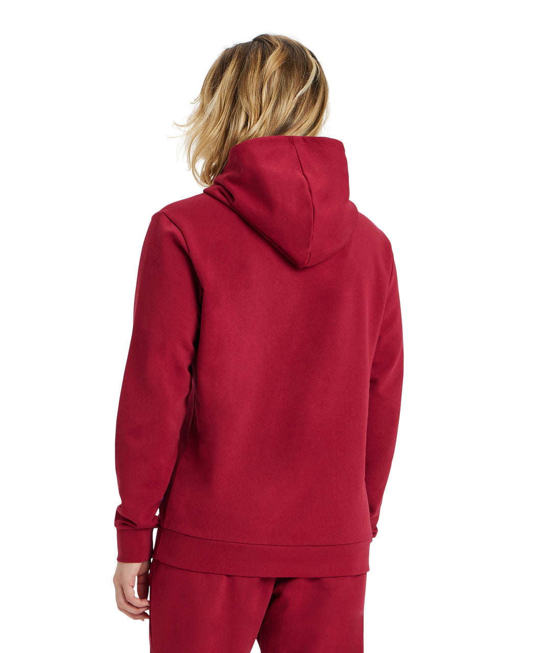 Arena Arena Icons Hooded Sweat Solid