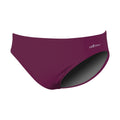 Dolfin Solid Polyester Brief