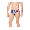 Speedo Brief PINSTRIPE FLIGHT