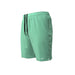 Nike Volley Swim Shorts Essential Lap 9