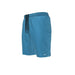 Nike Volley Swim Shorts Essential Lap 9