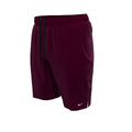 Nike Volley Swim Shorts Essential Lap 9