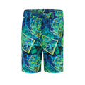 Dolfin Toddlers Print Swim Trunk