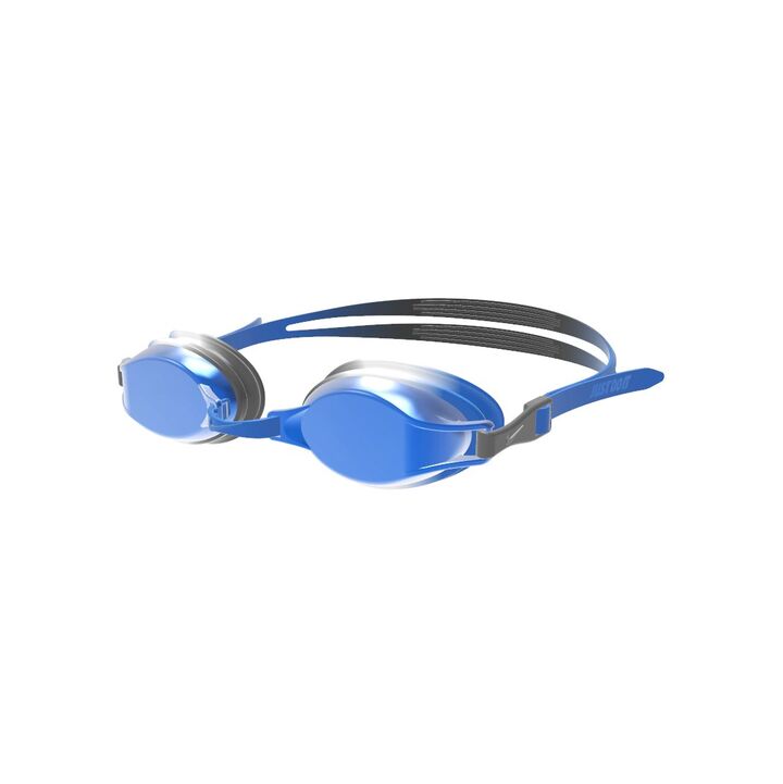 Nike Chrome Mirror Youth Goggle