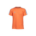 Arena Men's Team T-Shirt 