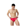 Speedo Lunar Storm Mens Brief