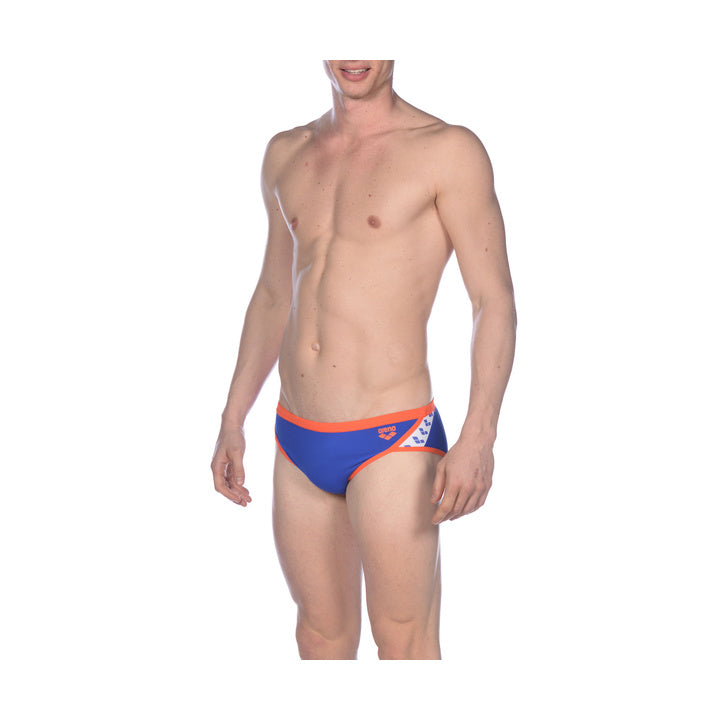 Arena TEAM STRIPE F Brief