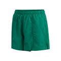 Dolfin Water Short Mens