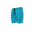 Nike Essential Lap 7 Volley Short